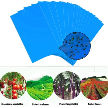 

Blue Board 20pcs Double Side Orchard Strong Flies Traps Bugs Sticky Board Catching Aphid Insects Pest Killer Convenient Yard