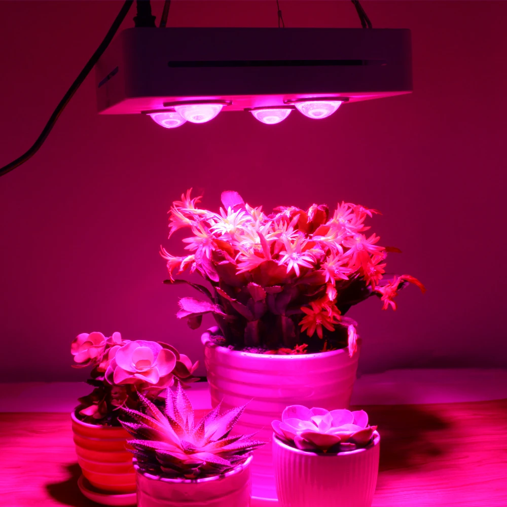 COB LED Grow Light Full Spectrum 600W COB High Luminous Efficiency for Indoor Hydroponic Greenhouse Plant Growth Lighting. purple flood lights