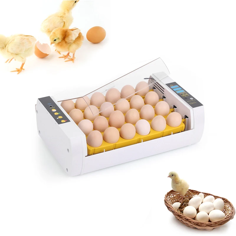 

24 Eggs Incubator Automatic Temperature Control Hatcher for Duck Bird Incubation