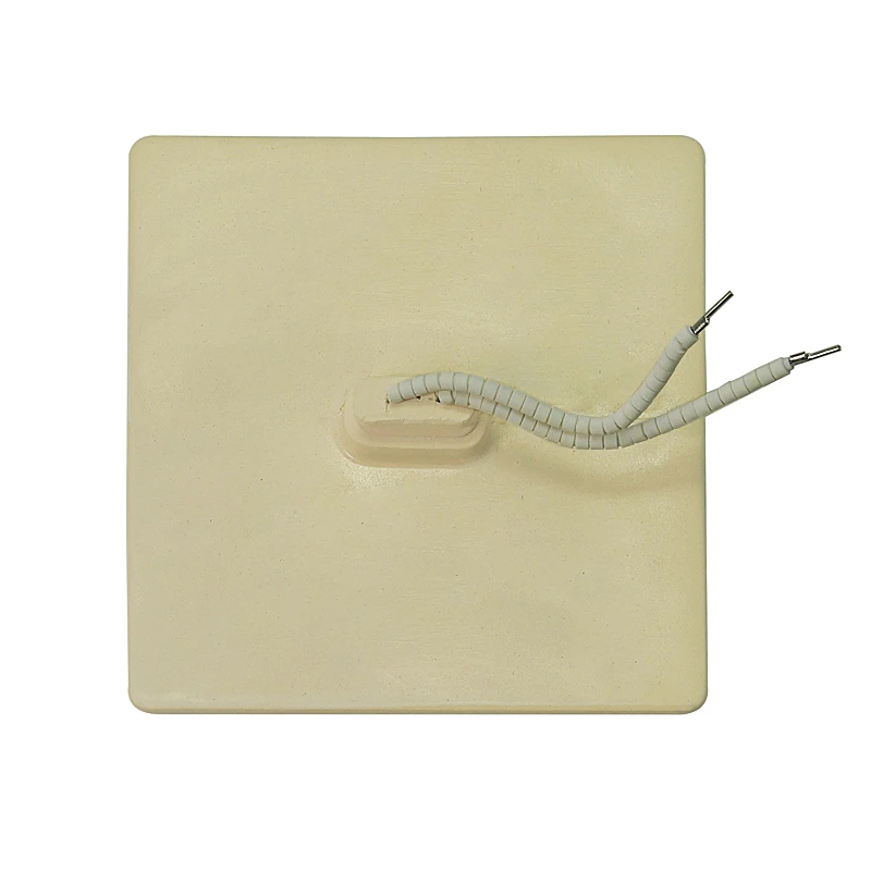 Far Infrared Ceramic plate 180MM (6)