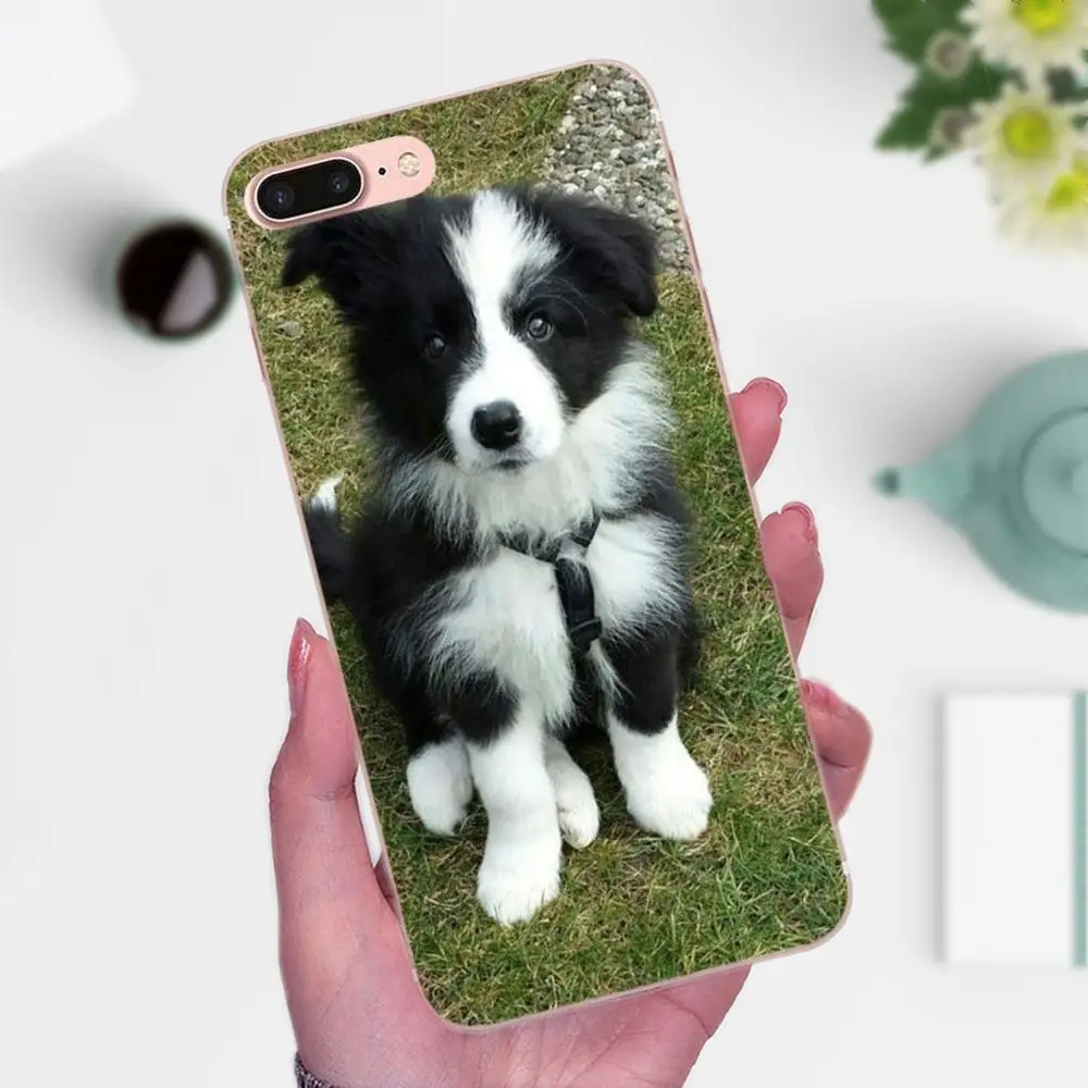 Аксессуары для телефона Border Collie Dog Breed чехол Huawei P8 P9 P10 P20 P30 Mate 7 8 9 10 20 Lite Plus Pro