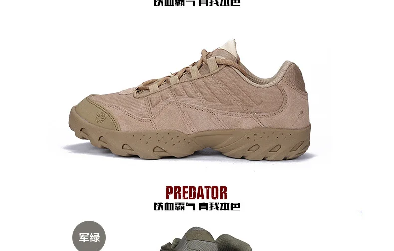 1946117088_1101723300