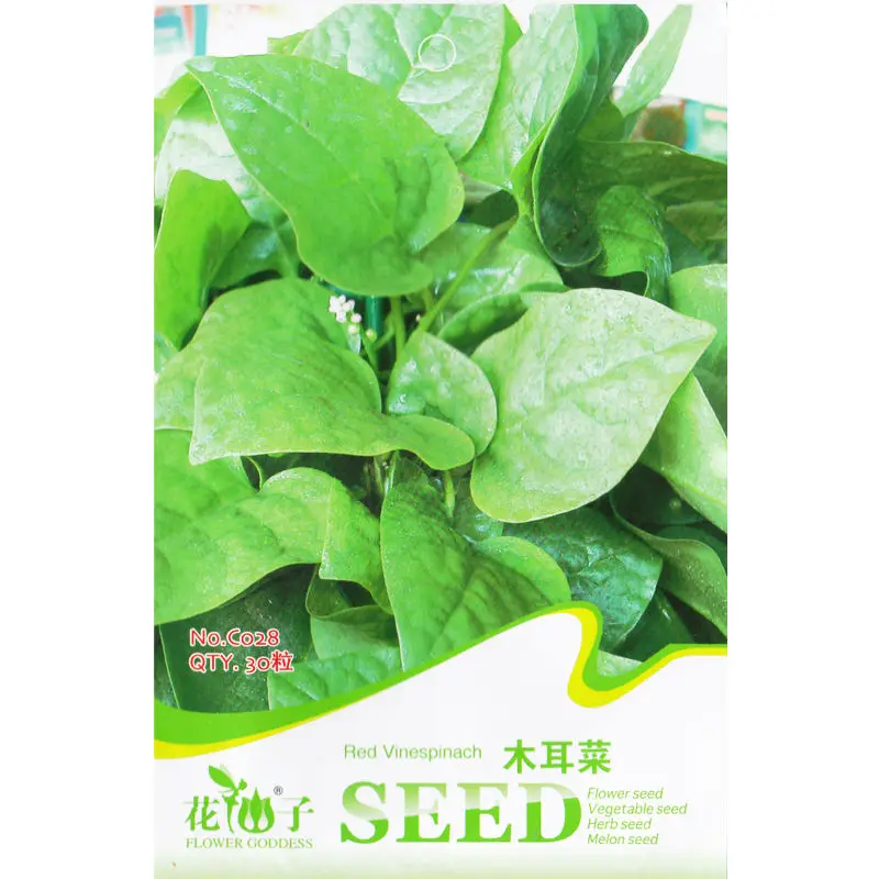 Malabar Vine Spinach Seeds 30's (Pcs) Best Seeds Online Free
