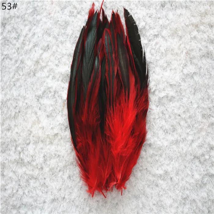 Y53