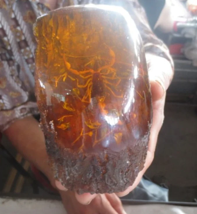 Азиатский Антиквариат Старый Янтарный Скорпион большая статуя бесплатная