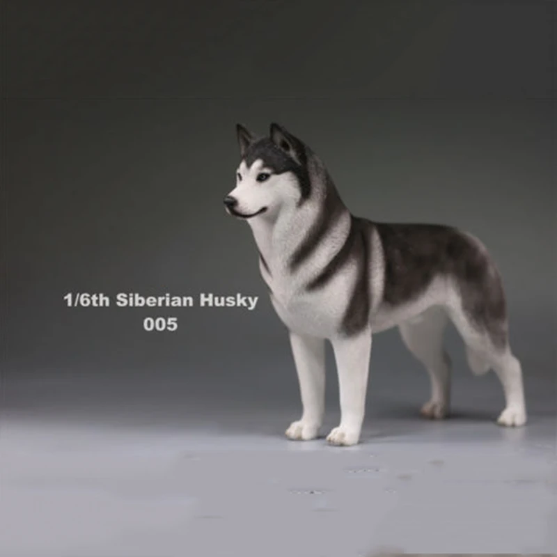 6 цветов, аксессуары для 1:6, Siberian Husky Simulation animals, фигурка для шестилетней собаки, модель игрушки для 12 дюймов, фигурка