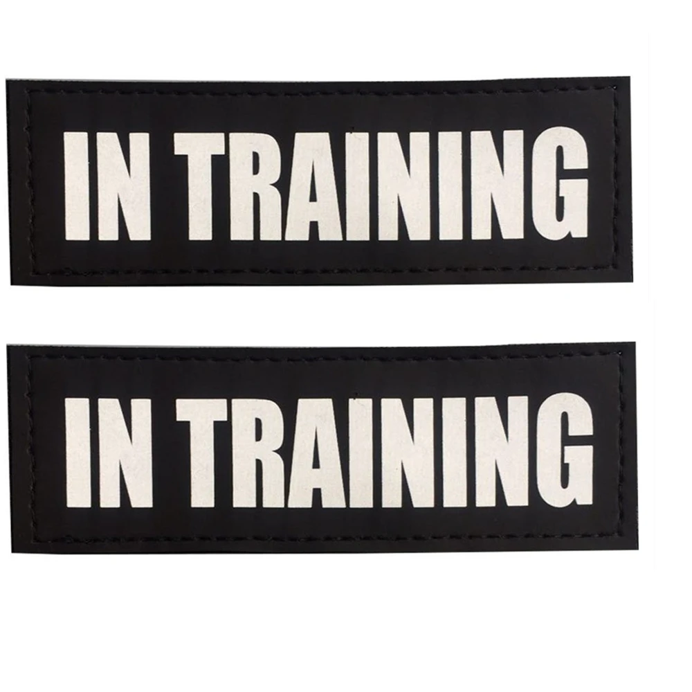 in training patch