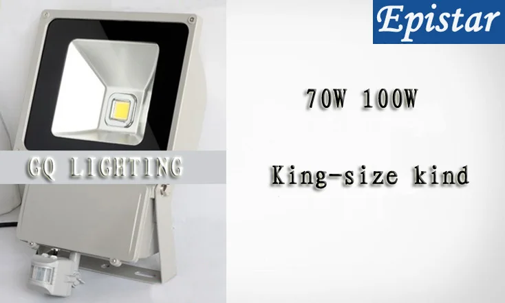 DC12V мощностью 10 Вт, 20 Вт, 30 Вт, 50 Вт 5000-5500LM с эффектом освещения Светодиодный светильник прожектор PIR датчик движения индукционный свет