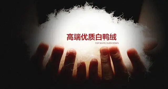 QQ20170423094246 -  -  -  -  -  -  -  (2)