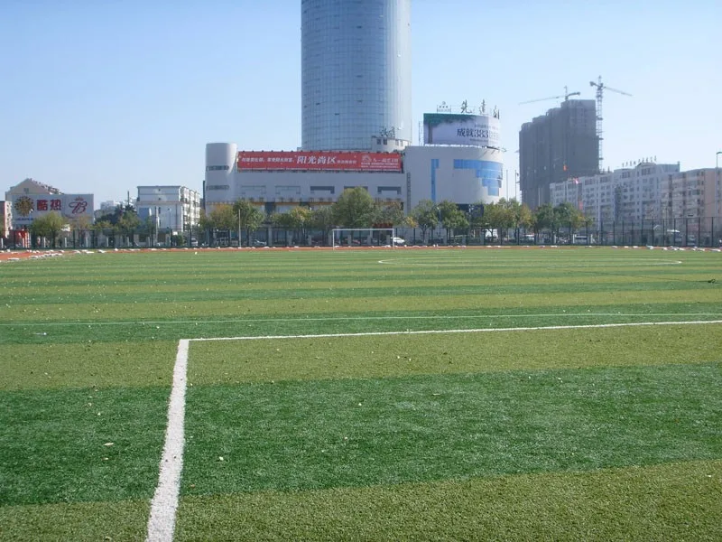 football artificial grass field (100)