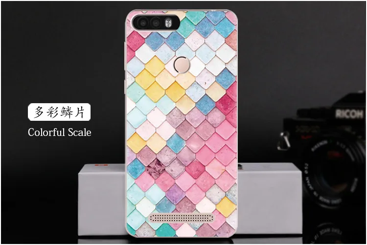  Colorful Scale