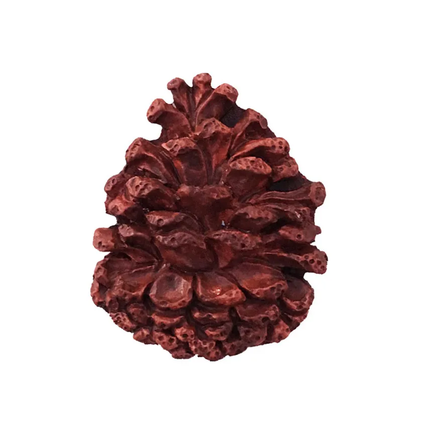 2 (2)