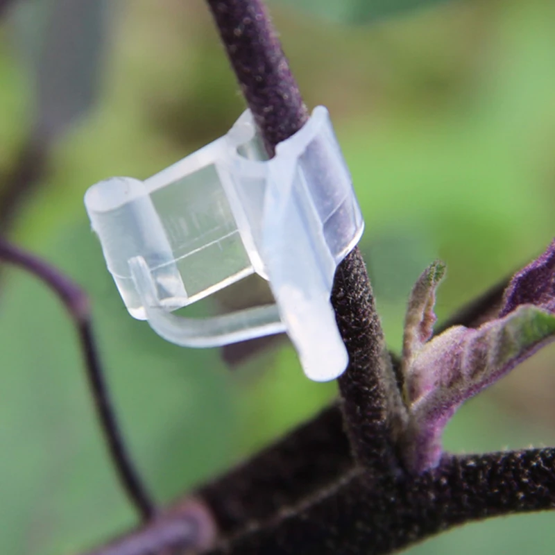 2290221137_784819883