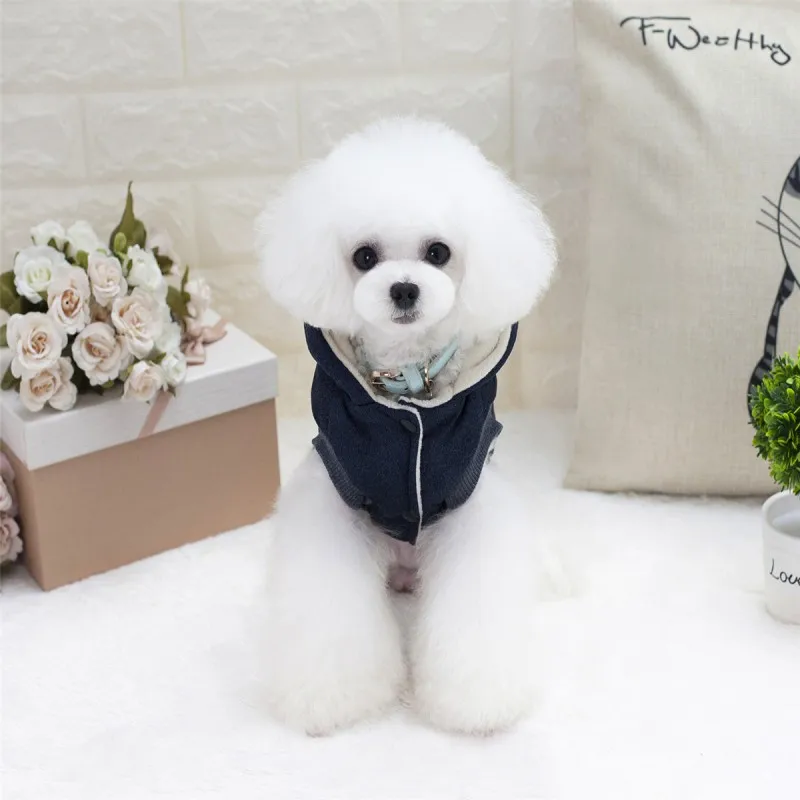 Домашняя одежда для животных для собаки костюм сплошной милый с капюшоном Осень/Зима Одежда для собак Теплый подарок