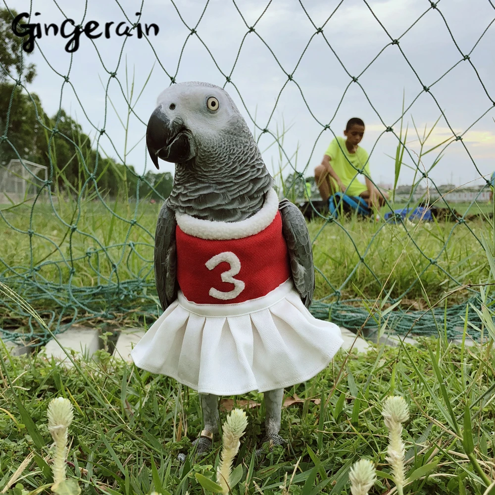 Ropa de pájaro de Gingerain ropa de loro equipo de animadores original a mano de pájaro con suéter equipo de animadores - AliExpress Hogar y jardín