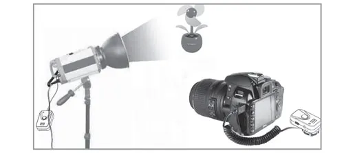 CRF-16_12