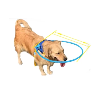 

Pet Safe Halo Harness For Blind Dogs Blind Pet Anti-collision Ring Scorpion Cataract Animal Protection Circle Guide Dog Harness
