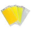 12V 15W COB LED Panel Light with Dimmer Controller 1600LM Warm Nature Cold White DC12V Dimmable LED Bulb for Diy Work Decor Lamp 5