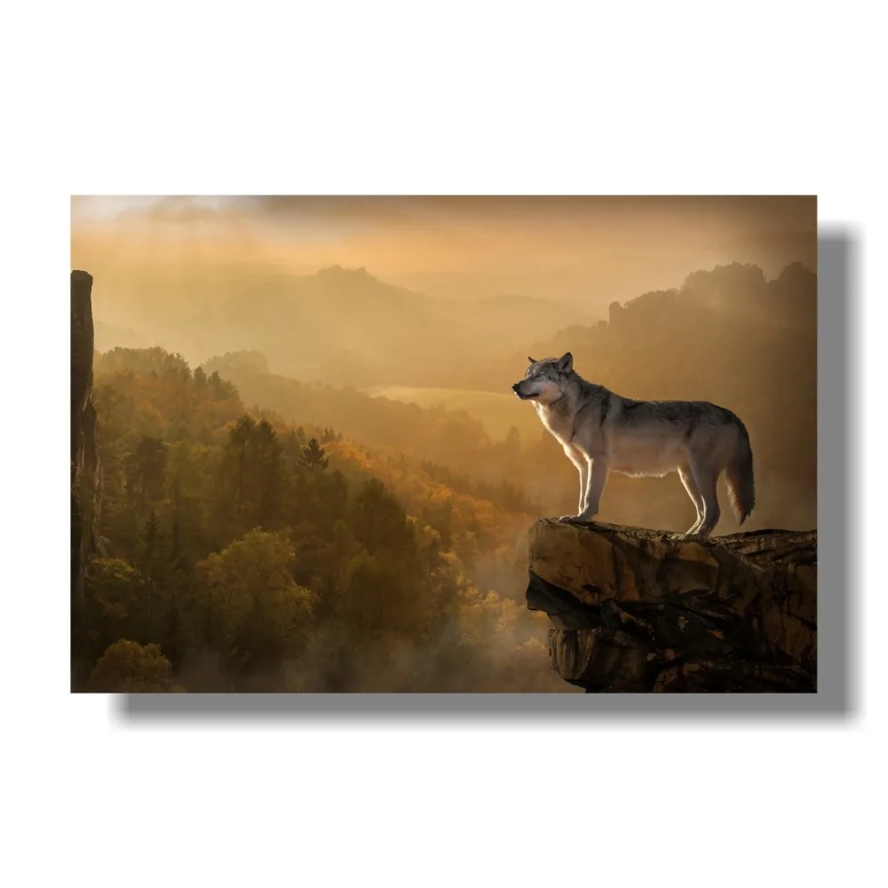 Серый Волк дикий животное лицо портрет природа фото Прохладный Настенный декор