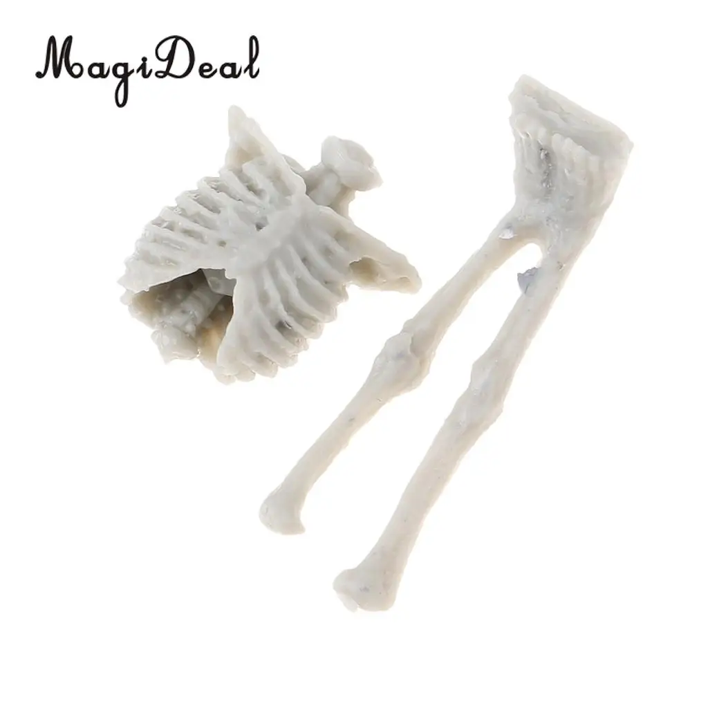 MagiDeal 1Set Unassembly Unpainted Kit 1/35 Scale Resin Skull Skeleton Mini Sand Table Scene for Handmade Art Craft Model Gift