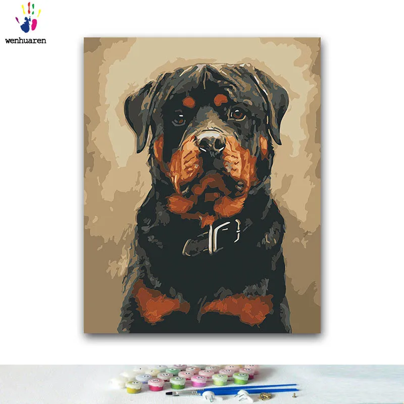 DIY картина по номерам Animal картины собака по номерам с комплектами 40x50 в рамке - Цвет: 6621