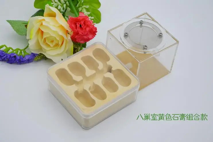 

Plaster Ant Nest Acrylic Ant Farm Ants Queen House Insect Cage Anthills Pet Ant House Granja De Hormigas Hormiguero