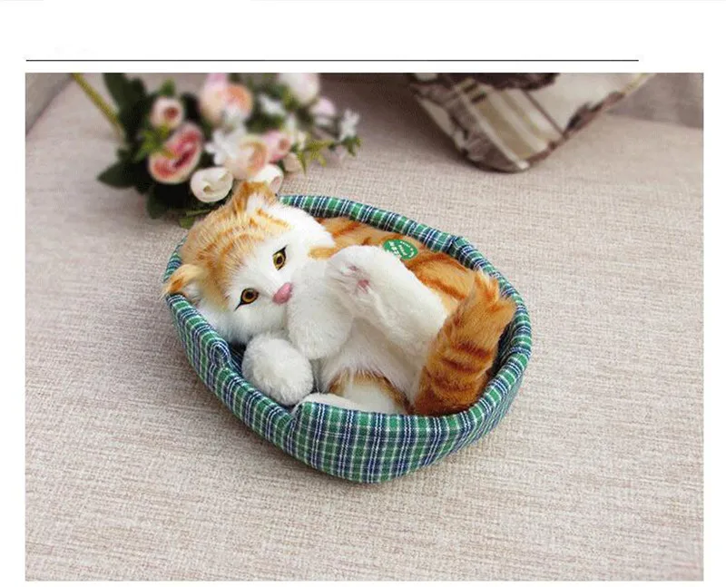 cat toy