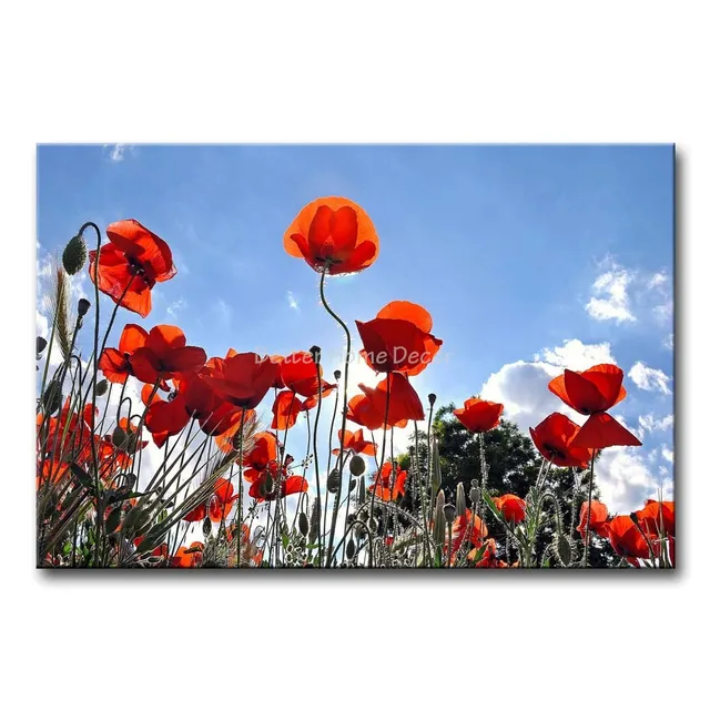 Buy 3 Piece Wall Art Painting Orange Poppies Picture