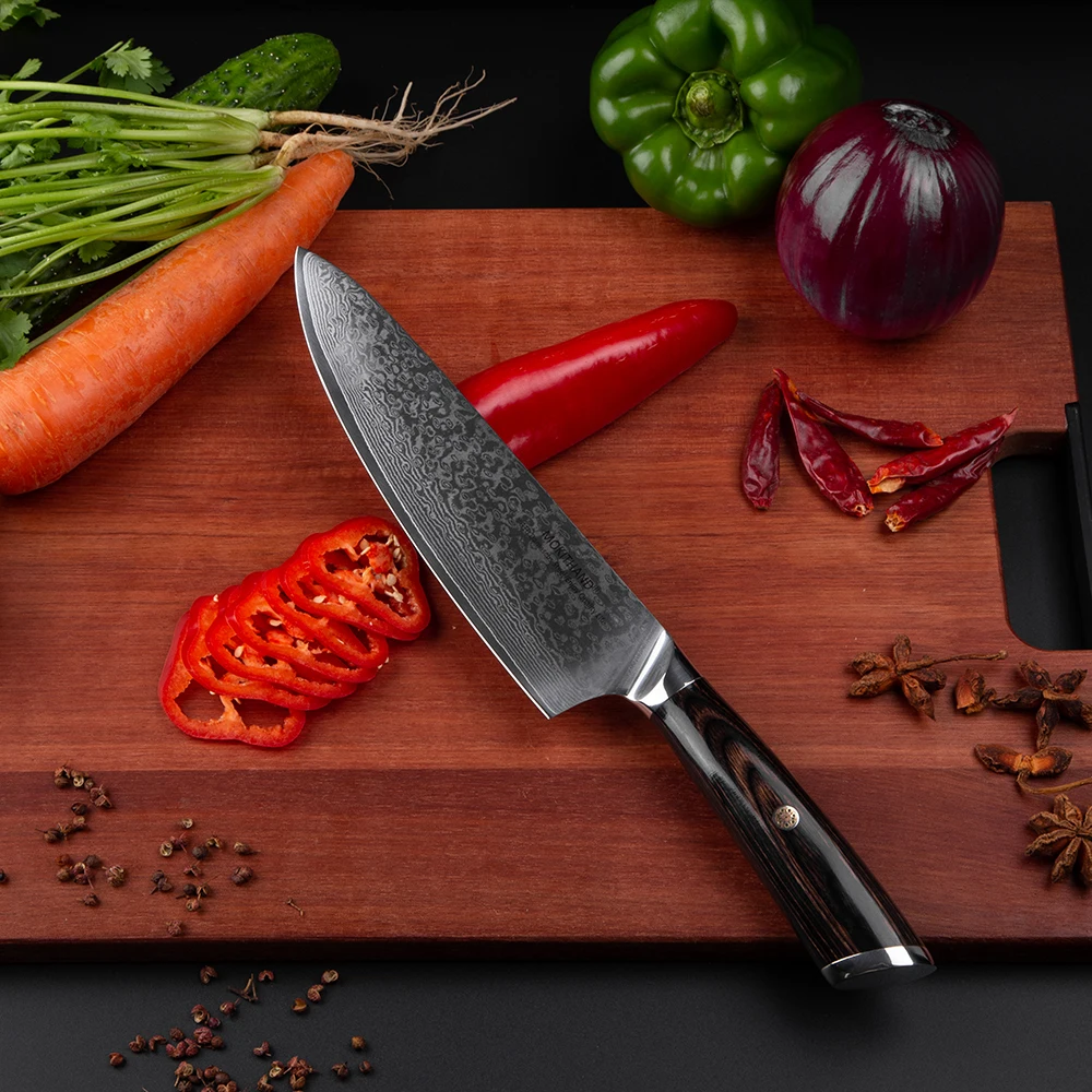 Mokithand 8 inch Damascus Chef Knives Sharp VG10 Japanese 67 layer Kitchen Knife Professional Japan Knife with Pakka Handle