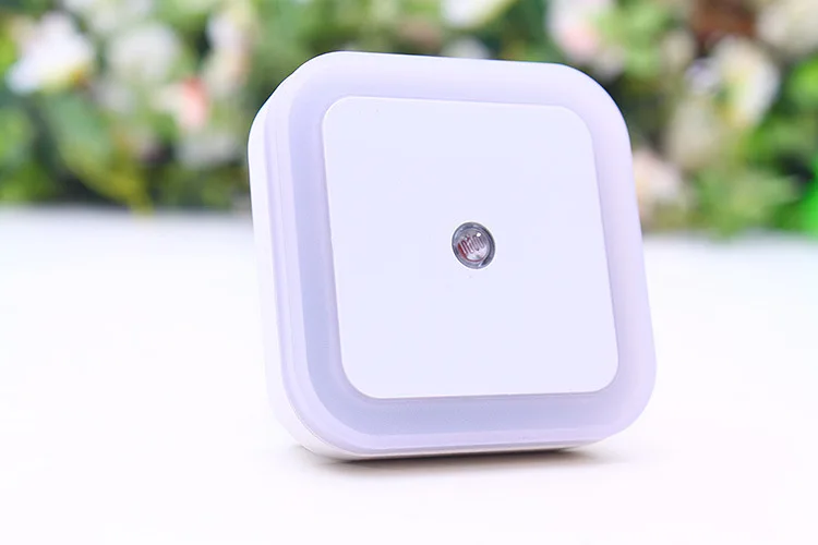 3182340847_1894273605