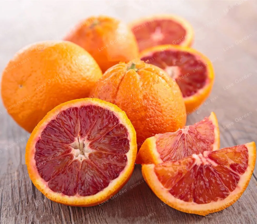 

30 pcs/bag Blood Orange Bonsai Organic Fruit plant Bonsai Healthy Food Home Garden Plants Are Easy To Grow