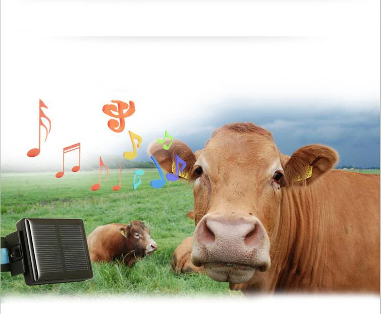 Солнечный gps трекер для домашних животных Водонепроницаемый IP67 gps локатор Поддержка приложения V26+ трекер для овец коровы крупного рогатого скота долгое время ожидания