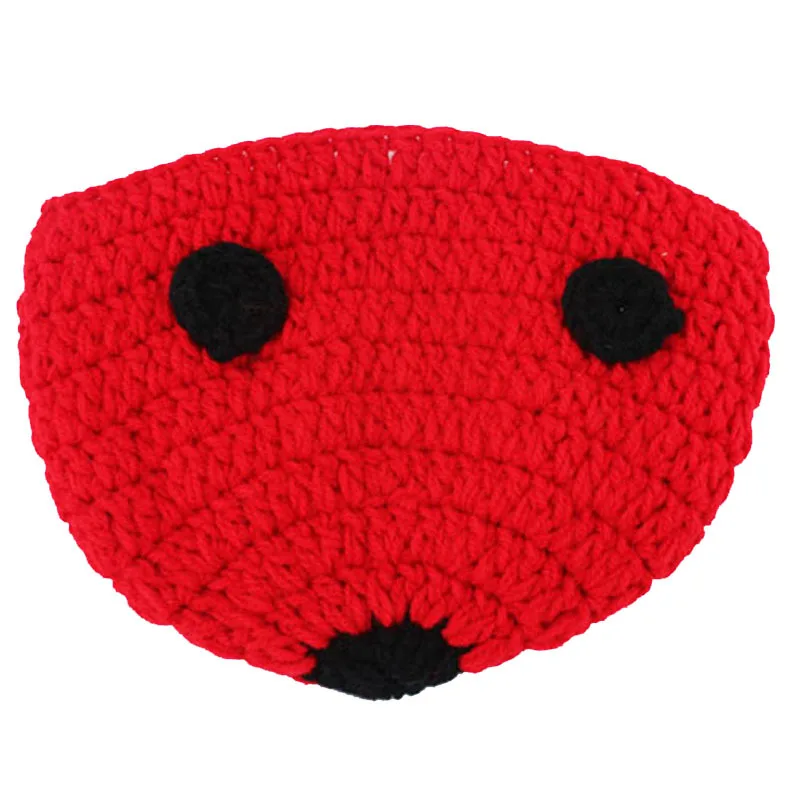 Hand Crochet Ladybug Set Baby Photography Props Newborn Ladybug Hat and Cover Set Infant Animal Beanie Hats SG058-8 images - 6