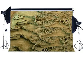 

Dinosaur Fossils Backdrop Jurassic Period Cartoon Dreamy Photography Background