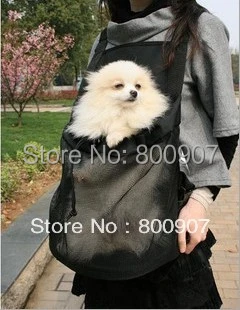 small adult dogs for sale