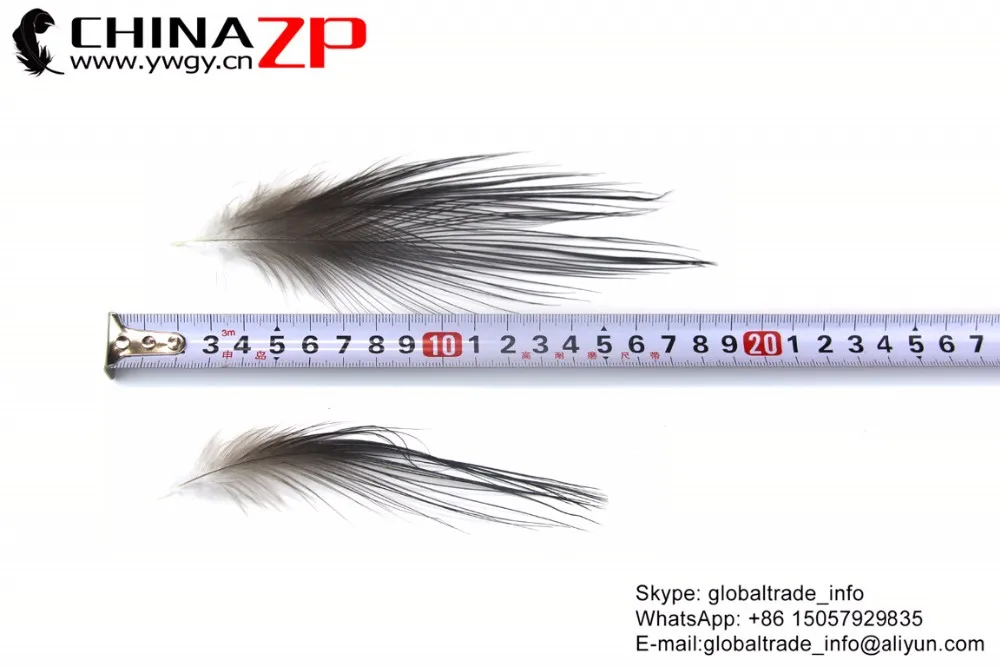 Heron Egret Feather (3)