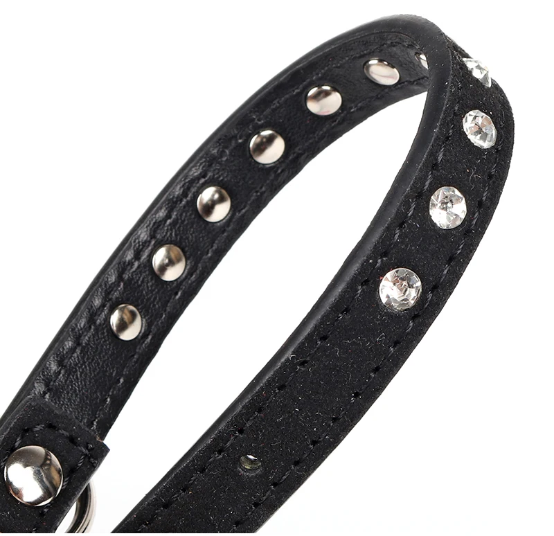 dog-collor-30285d12