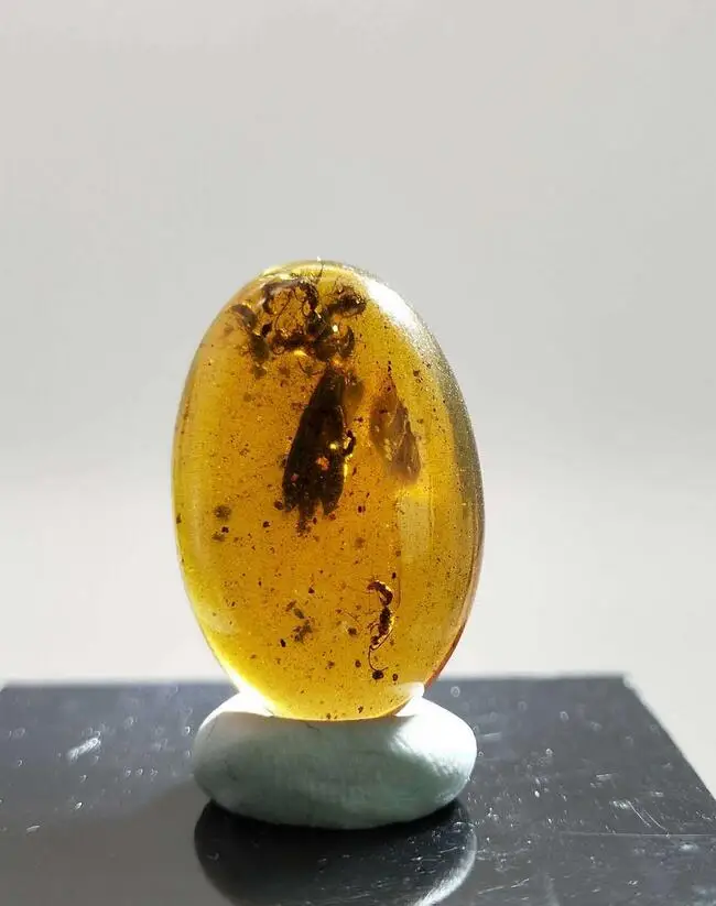

Cretaceous big beetle wasps burmite Myanmar Amber insect 100 million years lynx stone ring surface men womens jewelry accessory