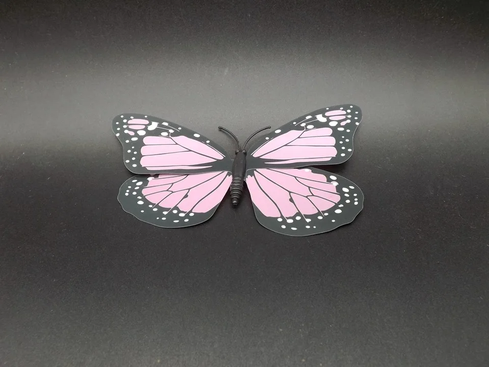 I242-Butterfly (5)
