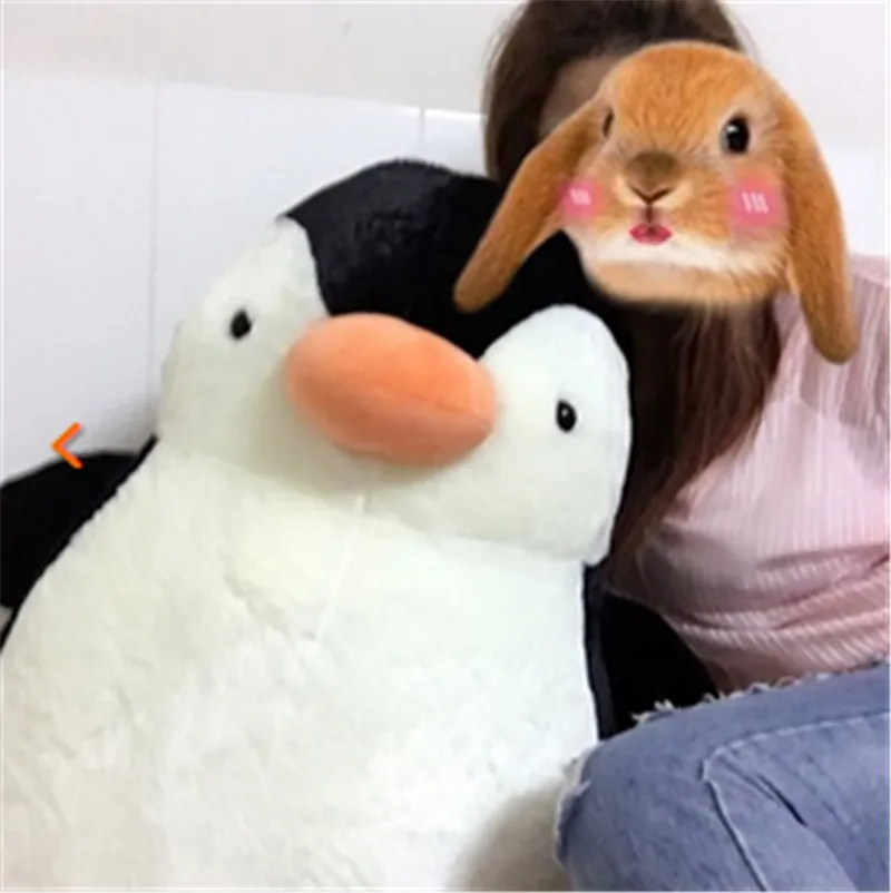 Penguin5