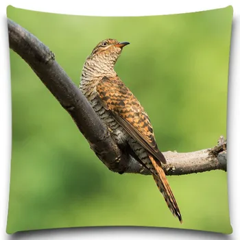 

A bird on the branch is singing 2D print creative Pillow case Square cotton polyester cushion cover 5 size 9 style
