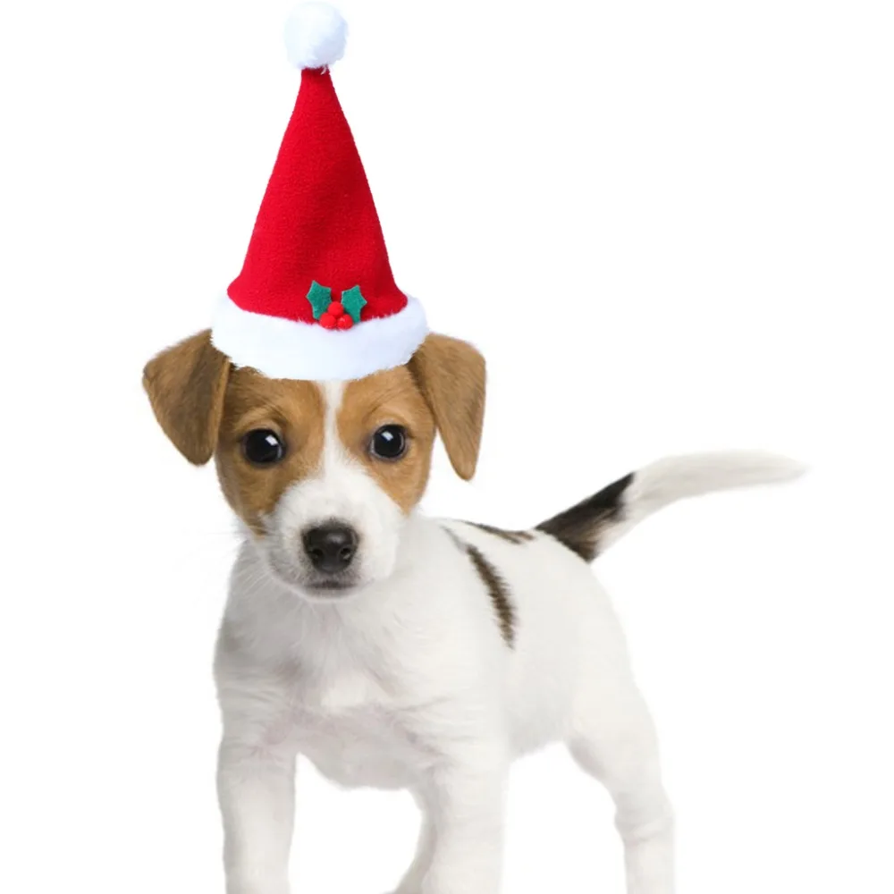 1PCS X Christmas Pet Santa Hat Plush Dogs Cats Soft Holiday Costume