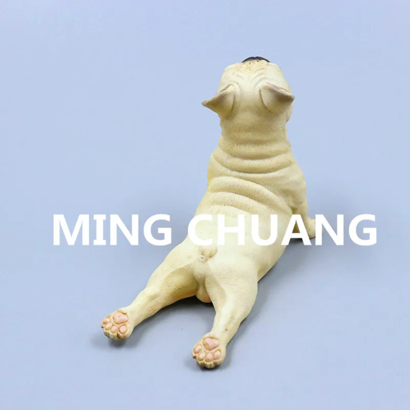 HTB1.K4doqSWBuNjSsrbq6y0mVXaD