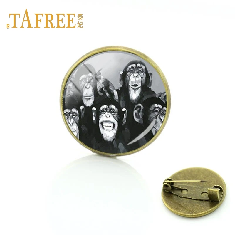 TAFREE Цвет полосатый брошь "Зебра" прослушивания музыки к счастливому танцы гориллы брошь Для женщин Для мужчин брошь ювелирные изделия TB61 - Окраска металла: TB251
