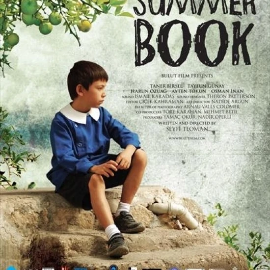 Summer Book Movie Poster (11 x 17)