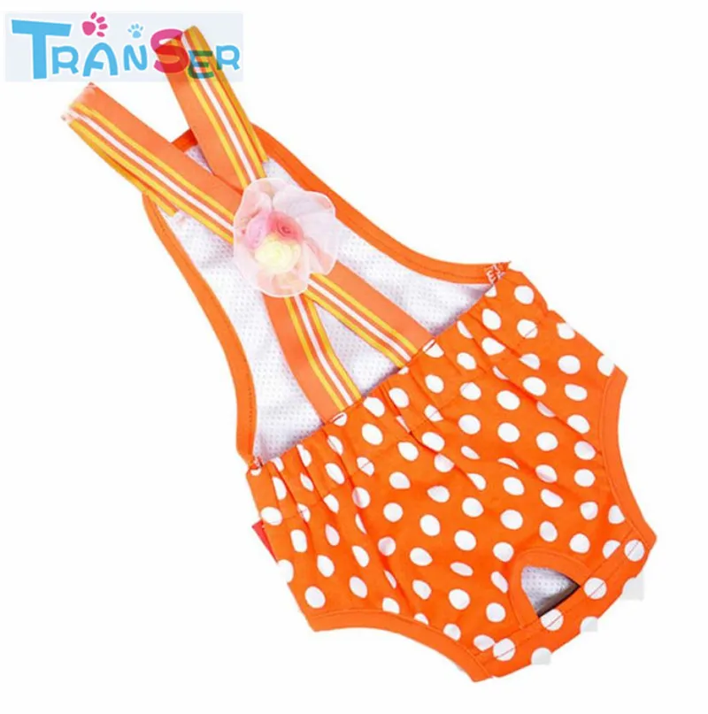 Transer Clothes For Dogs Dots Pattern High Quality Cute Pet Dog Panty Brief Bitch In Season Sanitary Pants For Girl Roupa Pet 06