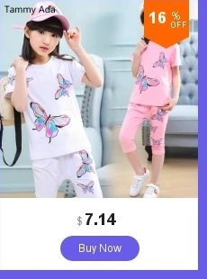 dianxiaobao