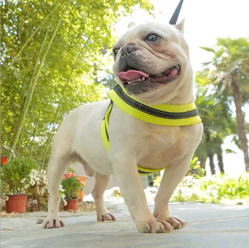 

Easy Walk Dog Harness with reflective stripe