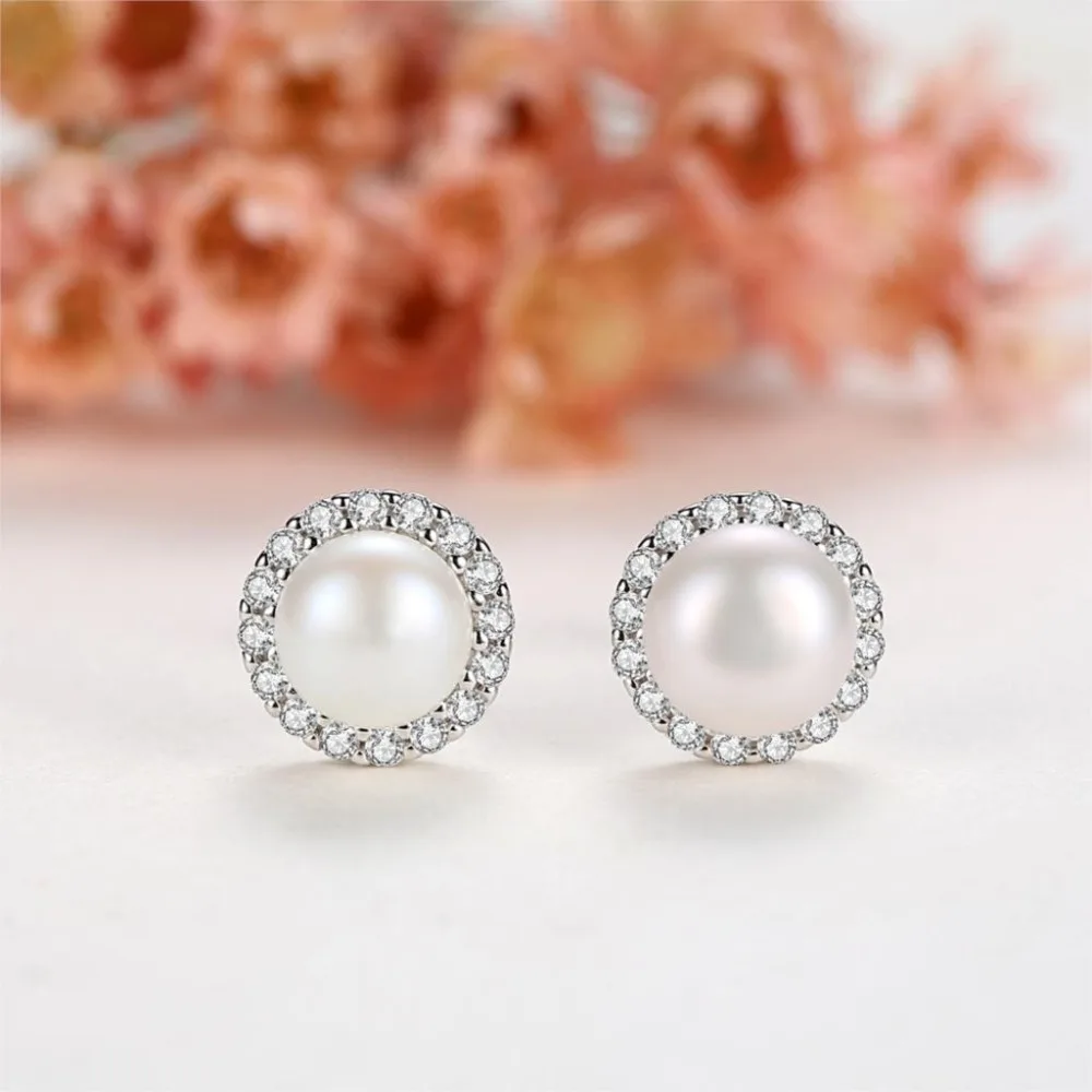 HTB1t3WjKf9TBuNjy1zbq6xpepXak