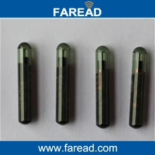 X100pcs ПЭТ скот микрочип LF стеклянный тег 4*22 мм 125 кГц частота